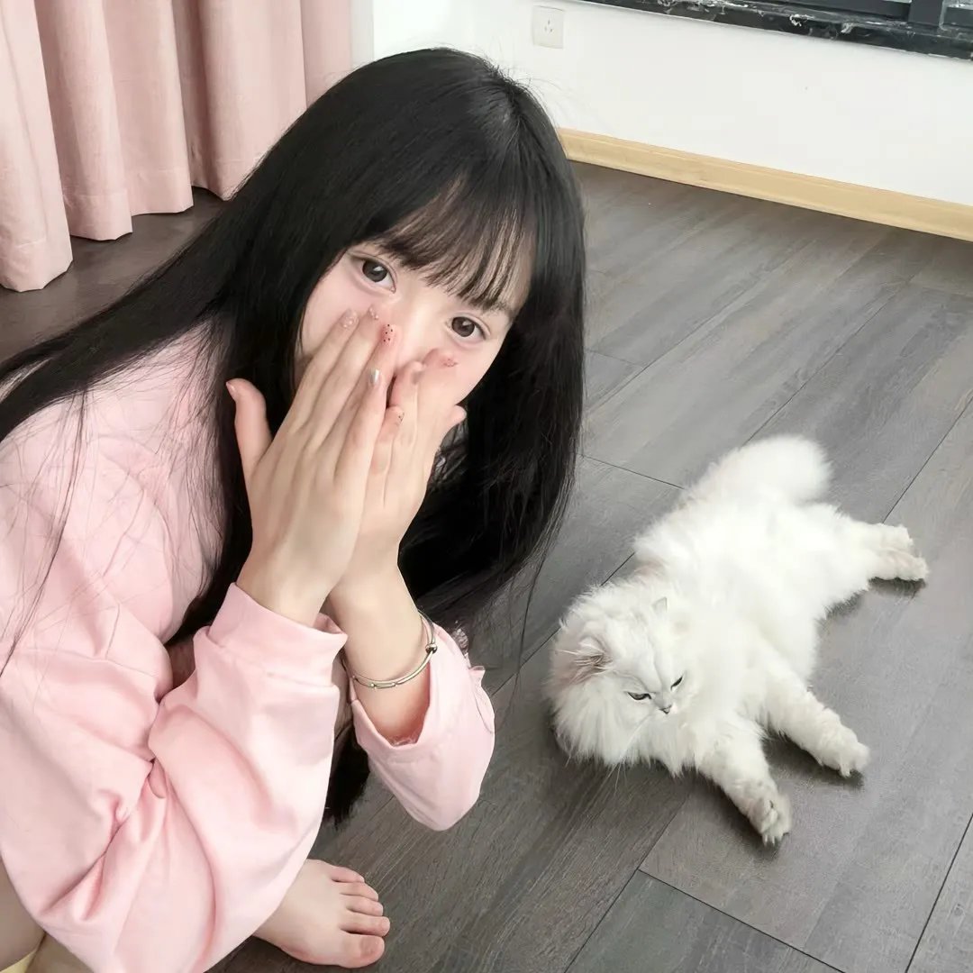 愚蠢天使与恶魔共舞